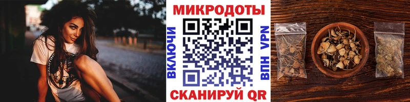 Купить где  Геленджик  Галлюциногенные грибы Psilocybine cubensis 